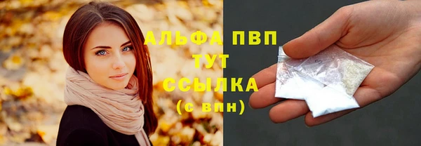 сатива Арсеньев
