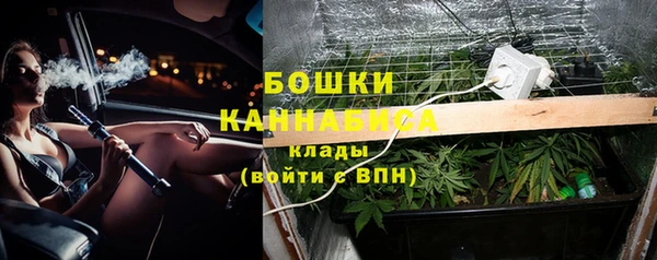 сатива Арсеньев