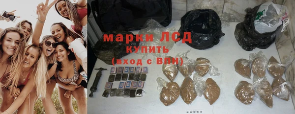сатива Арсеньев