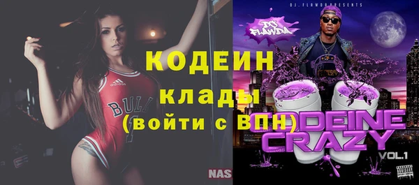 сатива Арсеньев