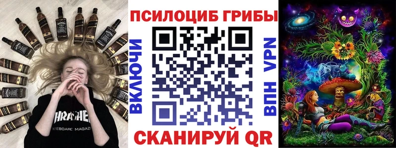 закладка Каневская omg зеркало Галлюциногенные грибы Cubensis